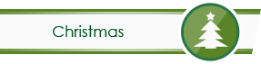 Christmas Icon