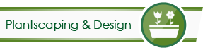 Plants Icon