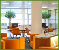 Beautiful Office Space