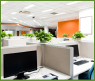 Office Work Place